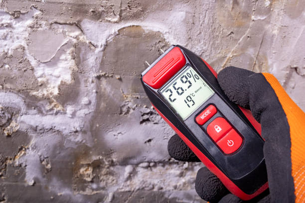 Best Crawl Space Mold Remediation in Bullard, TX