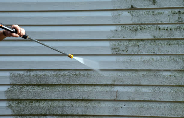 Best Residential Mold Remediation in Bullard, TX