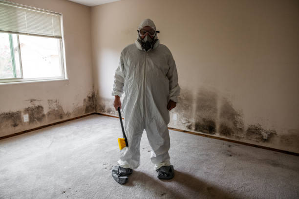Best Emergency Mold Remediation in Bullard, TX